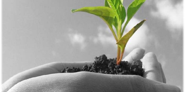 environmentalhealth